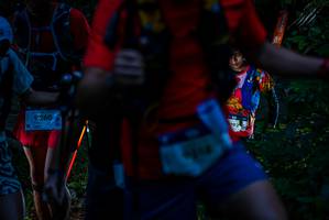 BIB: 9260, 192
                            <button type="button" onclick="openModal(19309397)" class="btn btn-primary btn-sm float-right btn-popup" data-toggle="modal" data-target=".modal-high-quality">
                        <i class="fas fa-shopping-cart"></i> Add to Cart
                    </button>
                                            <button type="button" onclick="isThisMe(19309397, true)" class="btn btn-success btn-sm float-right btn-popup btn-isme hidden" data-toggle="tooltip" data-placement="bottom" title="นี่คือรูปของคุณใช่ไหม คลิกที่นี่เพื่อเอาเข้าอัลบั้ม">
                        <i class="fas fa-plus"></i> Add to album
                    </button>
                    <button type="button" onclick="isThisMe(19309397, false)" class="btn btn-warning btn-sm float-right btn-popup btn-isnotme hidden">
                        <i class="fas fa-ban"></i> Remove from album
                    </button>